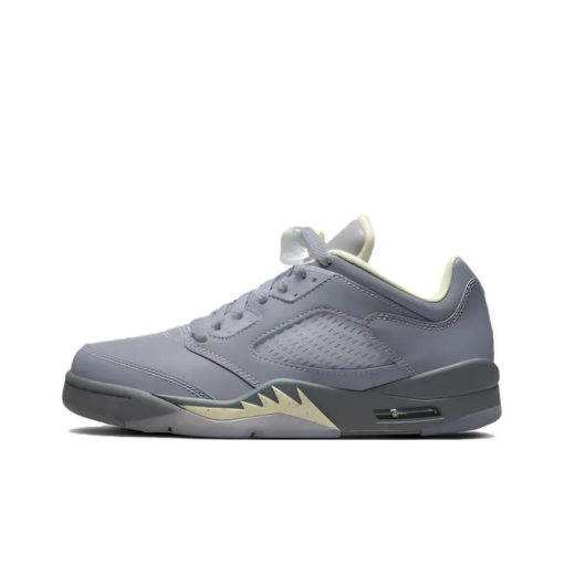 Air Jordan 5 Retro Low Indigo Haze Signature Footwear