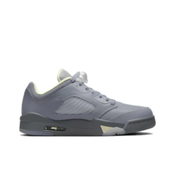 Air Jordan 5 Retro Low Indigo Haze Signature Footwear