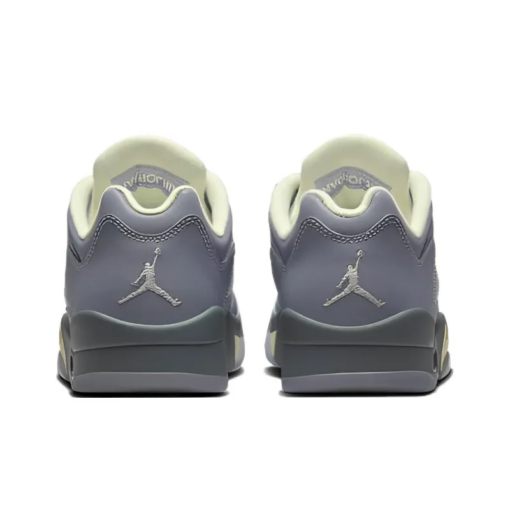Air Jordan 5 Retro Low Indigo Haze Signature Footwear